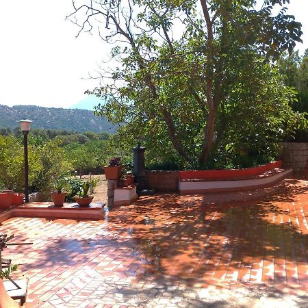 B&B Bene Bennios Iun F1441 Nuoro  Buitenkant foto