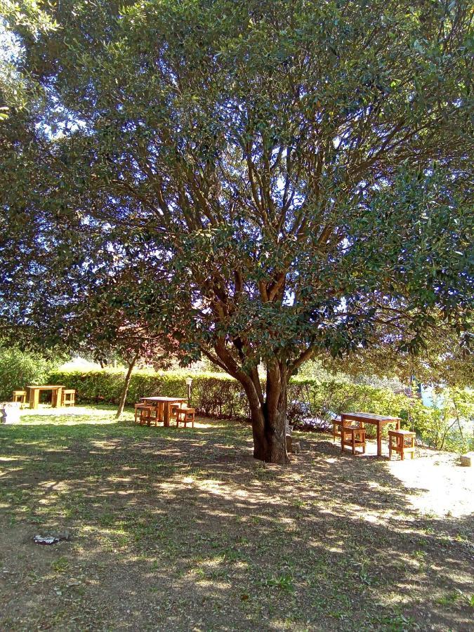 B&B Bene Bennios Iun F1441 Nuoro  Buitenkant foto