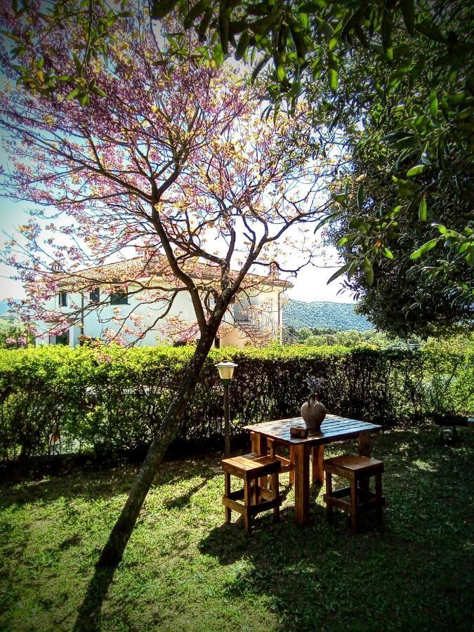 B&B Bene Bennios Iun F1441 Nuoro  Buitenkant foto