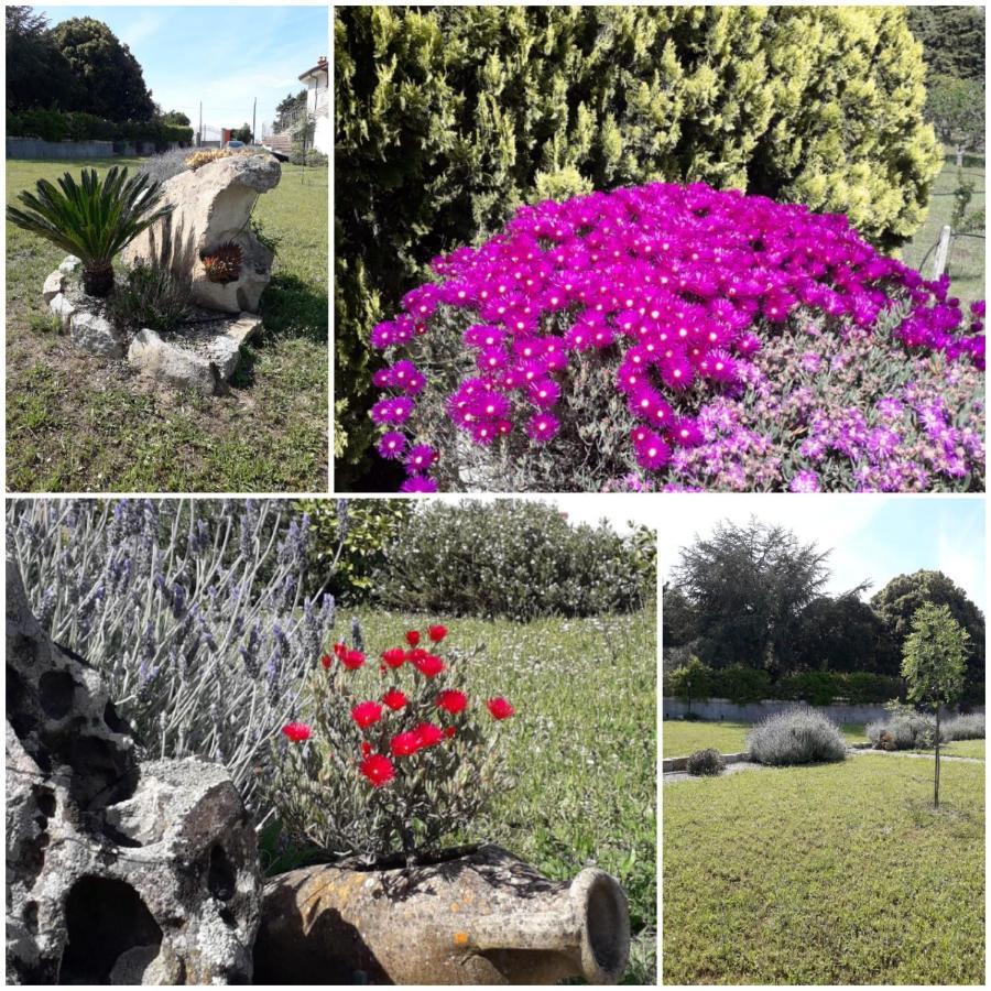 B&B Bene Bennios Iun F1441 Nuoro  Buitenkant foto