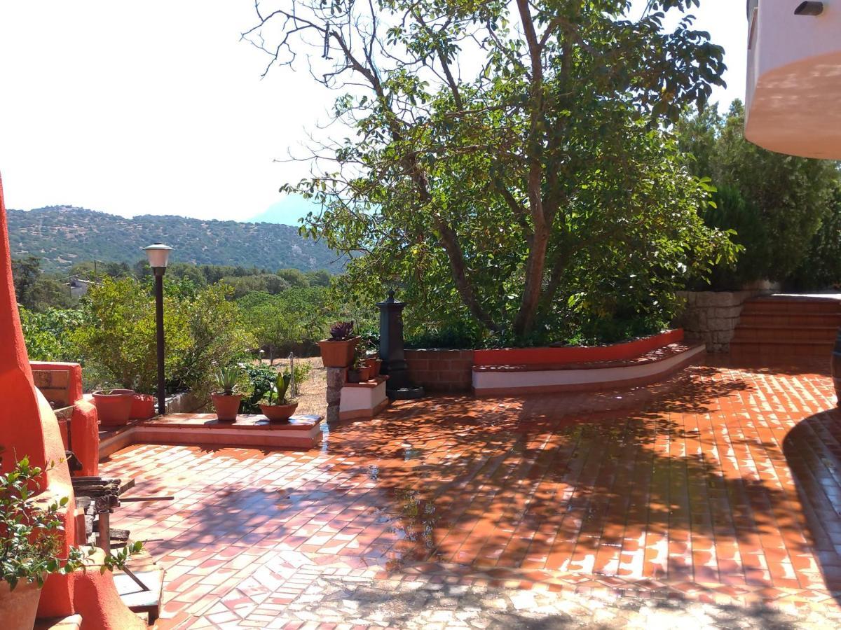 B&B Bene Bennios Iun F1441 Nuoro  Buitenkant foto