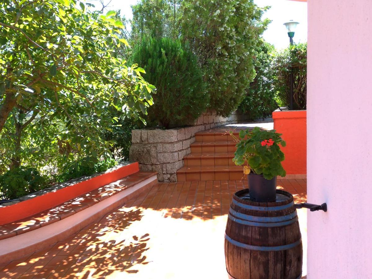 B&B Bene Bennios Iun F1441 Nuoro  Buitenkant foto