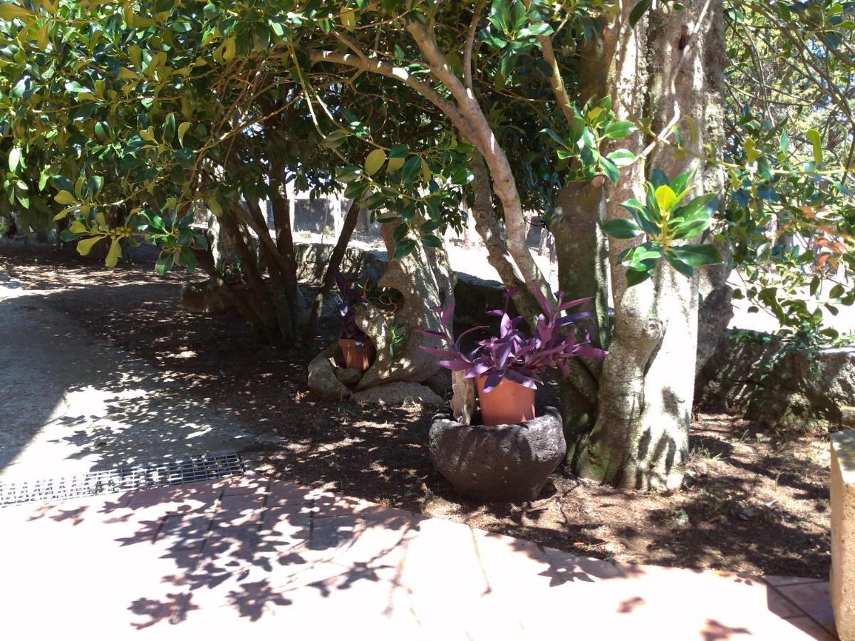 B&B Bene Bennios Iun F1441 Nuoro  Buitenkant foto
